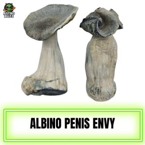 Albino Penis Envy (APE) Magic Mushroom