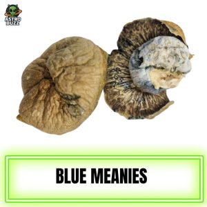 Blue Meanie Magic Mushroom