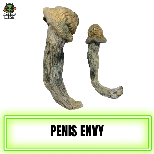 Penis Envy Magic Mushroom