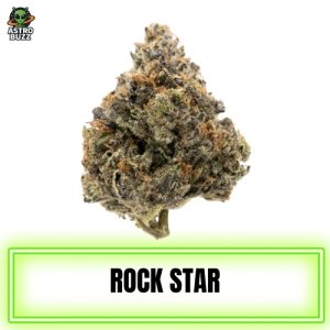 Rockstar Indica